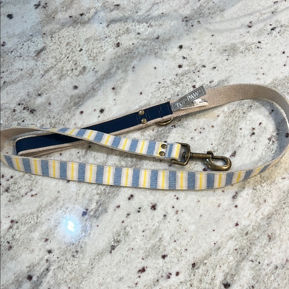 Top Paw Blue and Yellow Striped Dog Leash 4FT